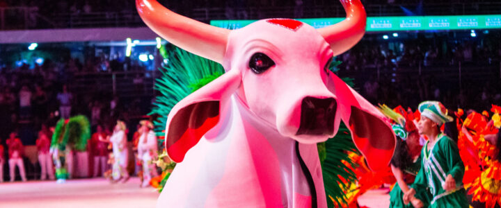 Boi Garantido encerra primeira noite do Festival de Parintins 2026